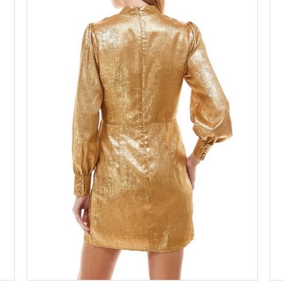 TCEC Shimmering Gold Long Sleeve Dress NWT Size Large - Picture 3 of 6
